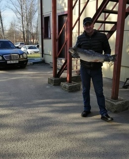 David — фото 9