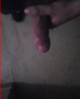 Вася — фото 3